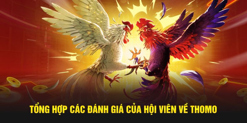 Tổng hợp các đánh giá của hội viên về Thomo Tổng hợp các đánh giá của hội viên về Thomo